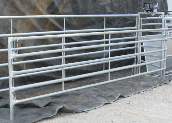 Galvanized Horse Corral Panels Long Lasting UV Resistant Powder Coat Finish