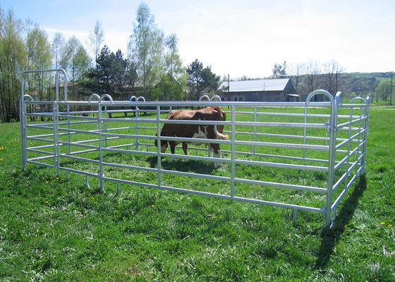 Powder Coated Horse Corral Panels , Metal Livestock Corral Panel