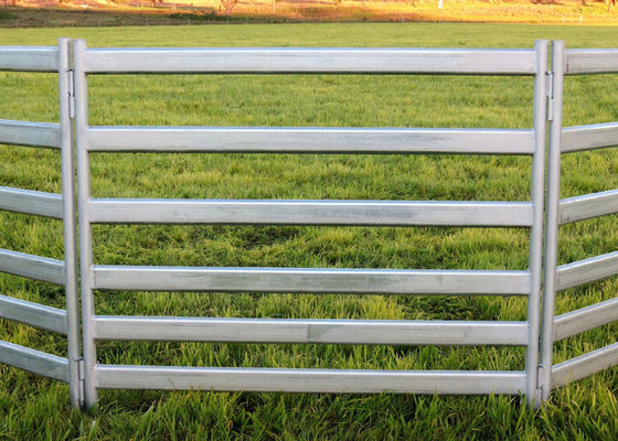 12 FT X 5 FT Horse Corral Panels Powder Coated Metal Livestock Corral Fence