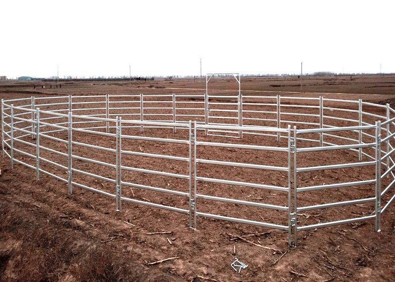 Heavy Duty Horse Corral Panels Hot Dipped Galvanized Metal Livestock Farm