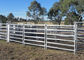 Galvanized Horse Corral Panels Long Lasting UV Resistant Powder Coat Finish