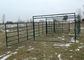 Sliver Portable Horse Panels , Horse Corral Fencing Livestock Panel