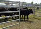 Horse Gate Panels Powder Coated Surface Treatment Metal Livestock Farm