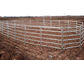 Heavy Duty Horse Corral Panels Hot Dipped Galvanized Metal Livestock Farm