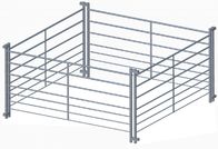Metal Livestock Corral Fence  5ft X 12ft Corral Pipe Fencing For Horses Cattle
