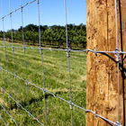 High Tensile Fixed Knot Fence Grassland Deer Farm Hot Dipped Galvanized