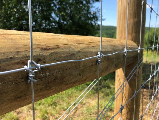 Deer Fixed Knot Fence 1.2m Hinge Joint Cattle Wire Mesh Field Fence