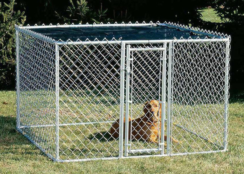 chain link fence dog kennel