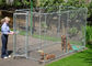 Custom Made Chain Link Dog Kennel Large Dog Runs 13 X 13 X 6' Size