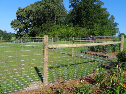 Agriculture Land Fixed Knot Deer Fence
